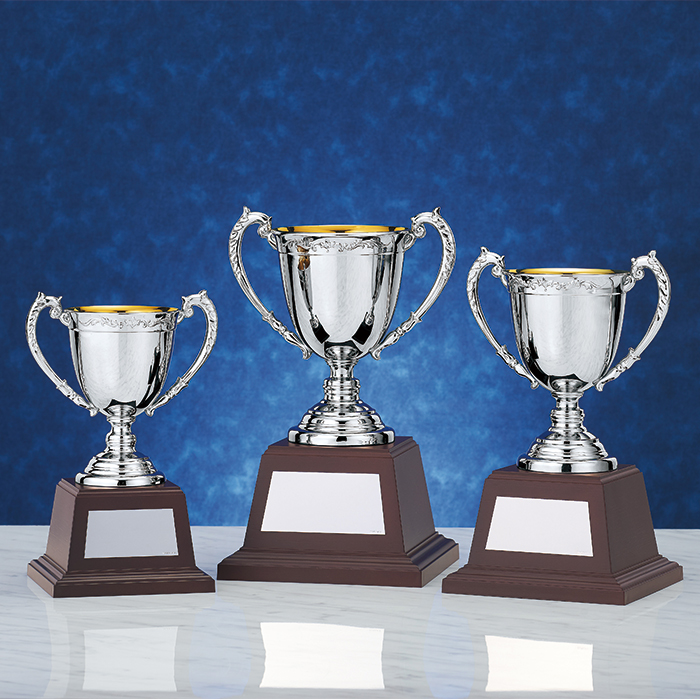優勝カップ 金属製 NO-4526 Aサイズ