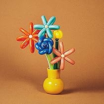 A1gqv5-8QKL._AC_UL210_SR210,