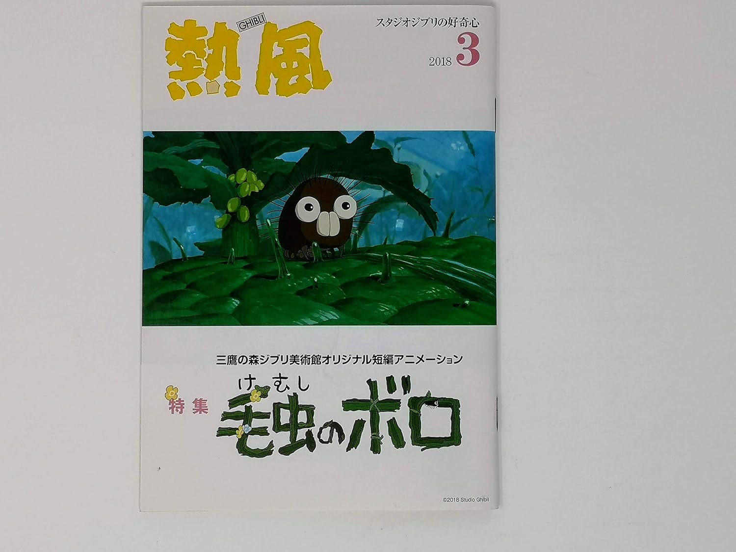 宮崎駿（1941年1月5日生まれ、映画監督、アニメーター、漫画家