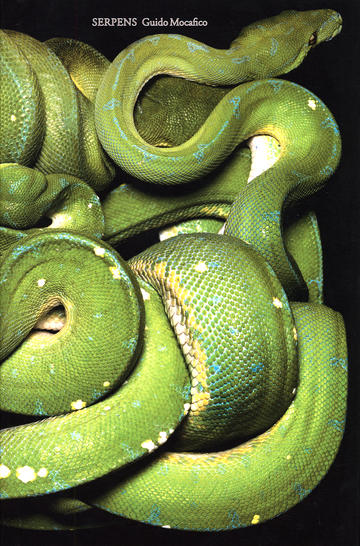 Serpens. Photographs by Guido Mocafico. Edited by Patrick Remy