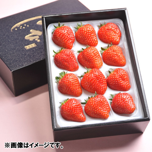 燦燦園＞みやびいちご 400g×2箱【受注締め切り日：2026/4/10】 | ANA