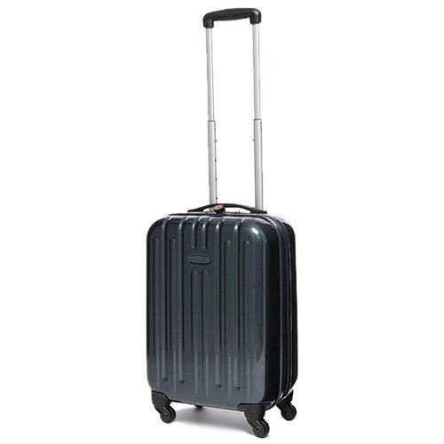 ANAオリジナルキャリーバッグ（ANAオリジナルネームタグ付）／ｶﾞﾝ