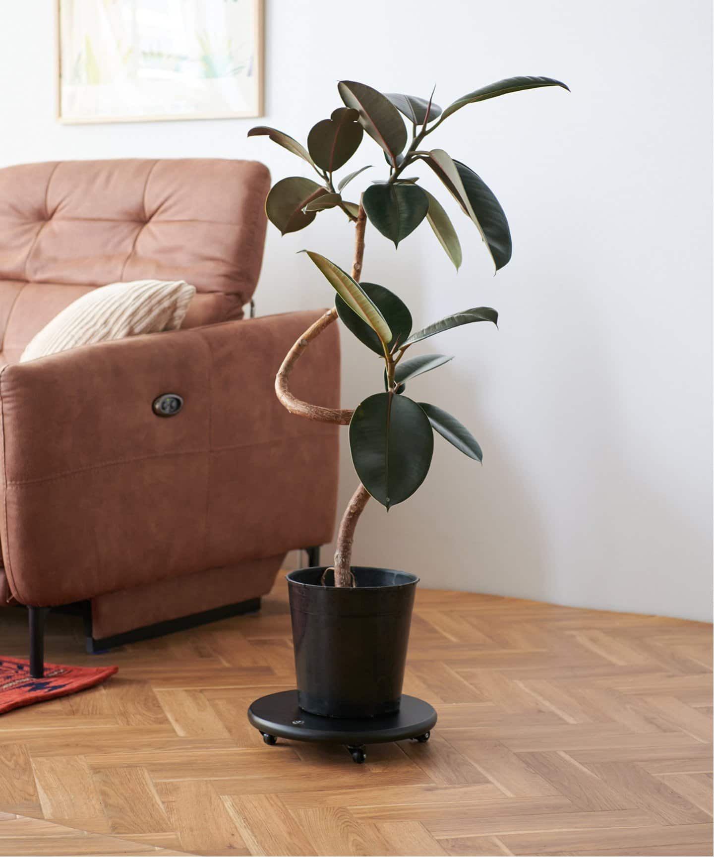 JSF PLANT CADDY-round(L) キャスター付き 植木鉢台（収納家具