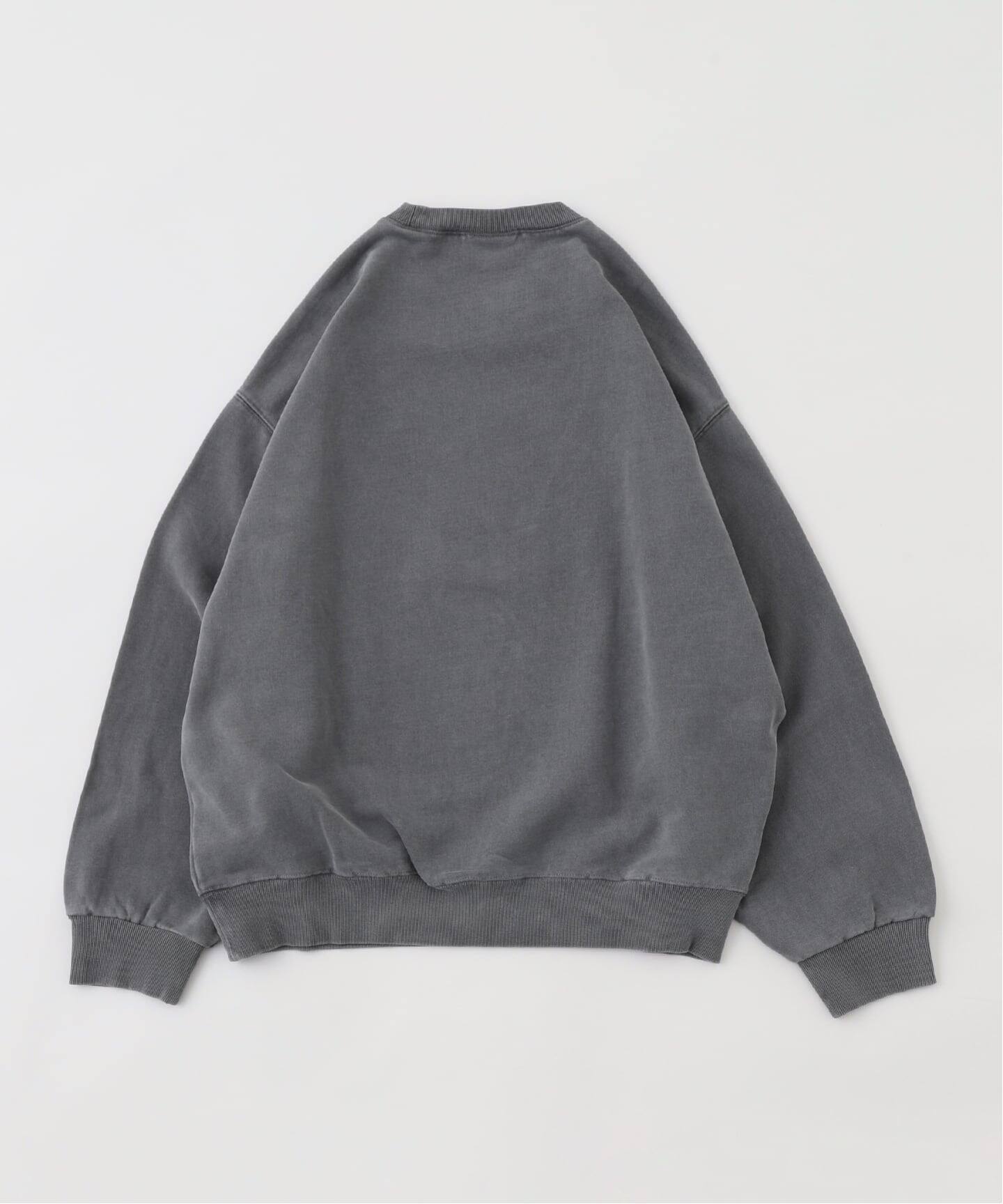 CARHARTT WIP / カーハート ダブリューアイピー VISTA SWEATSHIRT
