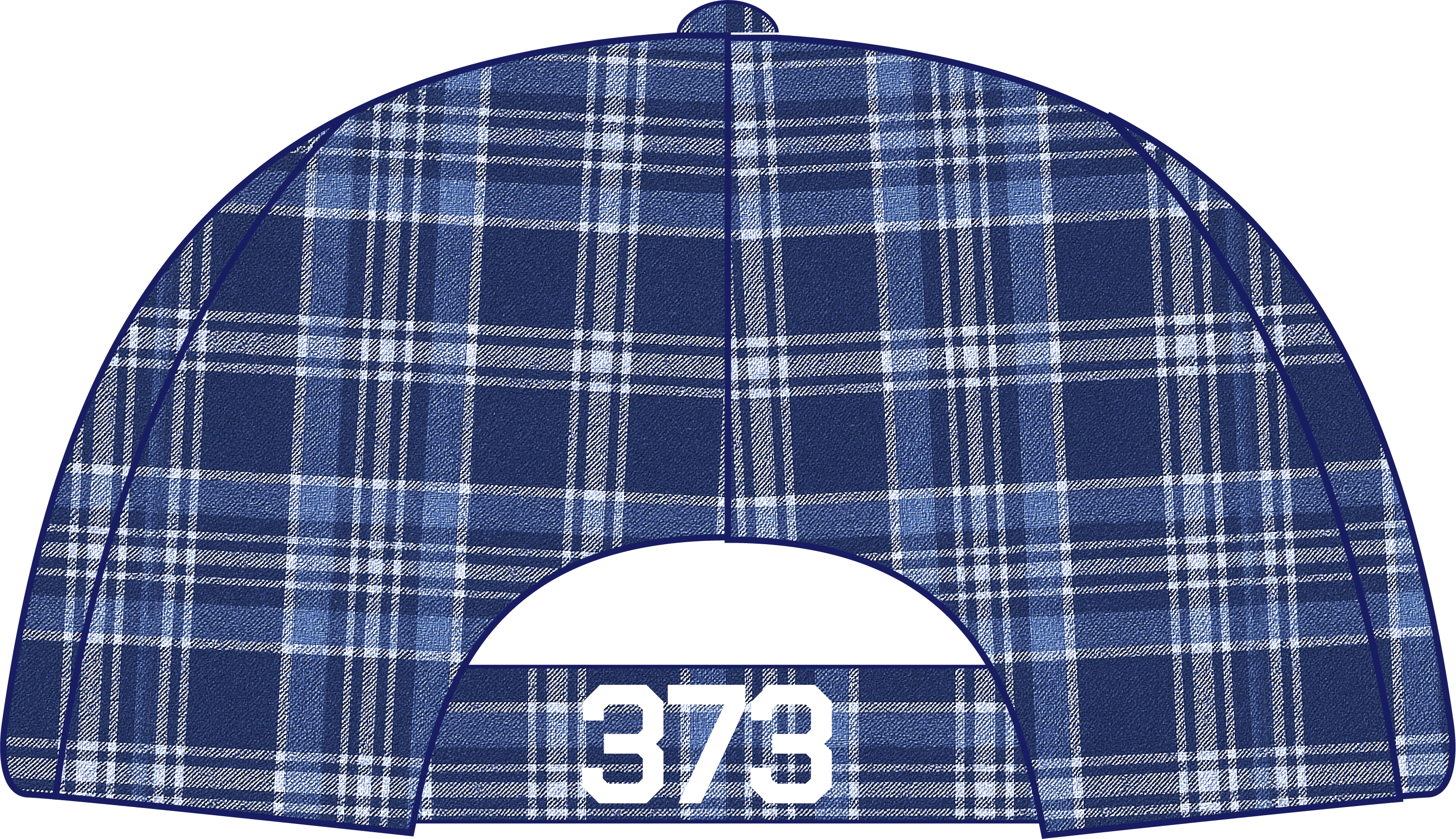 Earthtication tartan cap【THREE SEVEN THREE SHOP】