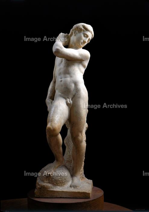 作品詳細 | ダヴィデ／アポロ | イメージアーカイブ - DNPアート