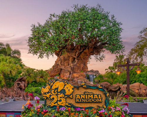 Animal Kingdom 25th Anniversary Disney Art by William Drew Photography