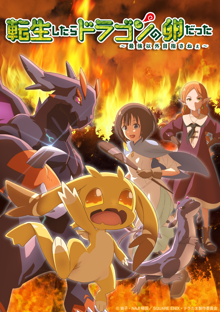 アニメ化情報】『転生したらドラゴンの卵だった～最強以外目指さねぇ