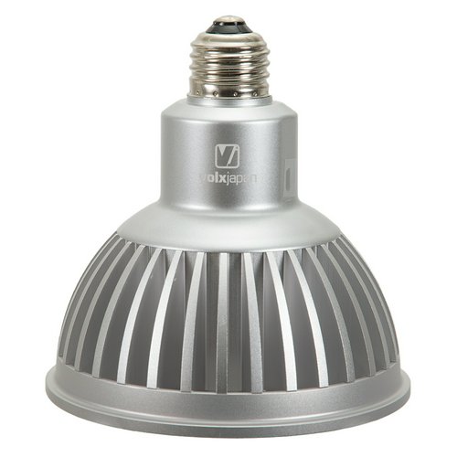 ボルクスジャパン Grassy LeDio RX122sc Deep/ディープ 銀 | チャーム