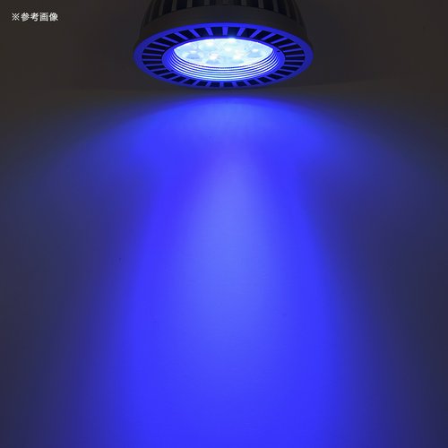 ボルクスジャパン Grassy LeDio RX122s Deep S/ディープ 銀 | チャーム