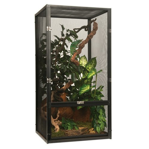 中型ガラスケージ 爬虫類用 自然レイアウト 中型ガラスケージ 爬虫類用