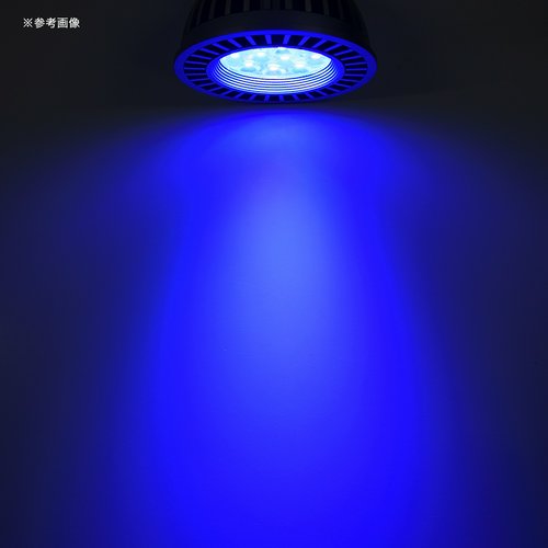 ボルクスジャパン Grassy LeDio RX122sc Deep/ディープ 銀 | チャーム