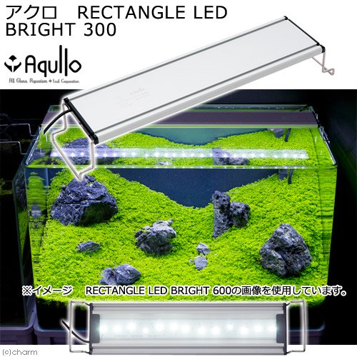 アクロ RECTANGLE LED BRIGHT 300 1600lm 水槽 照明 熱帯魚