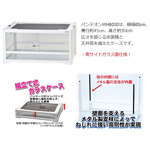 爬虫類ケージ 三晃商会 パンテオン ホワイト WH6030 | チャーム