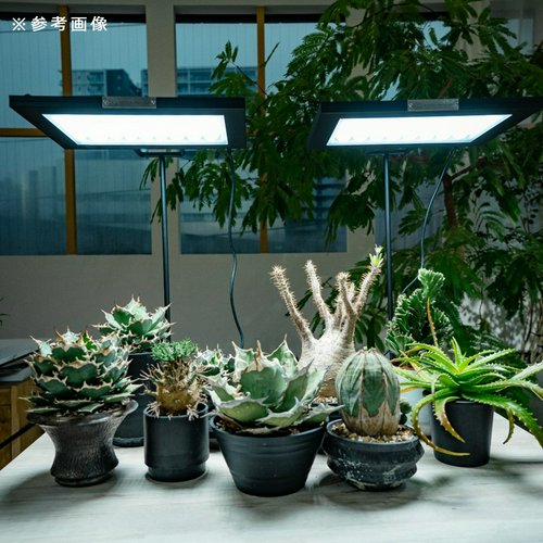 植物育成ライト BARREL ROKI-350専用 アイアンライトスタンド 高さ3