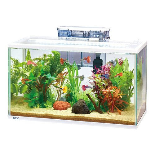 GEX ガラス水槽 スリムアクアセット500 50×24×29cm 外掛けフィルター付