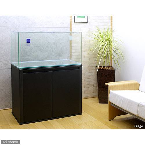 コトブキ工芸 ガラス水槽 レグラス R-900L(90×45×45cm) 代引不可