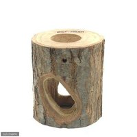 フジコン プレミアム インセクトシェルター L 昆虫 カブトムシ