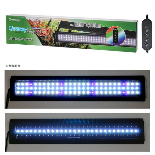 ボルクスジャパン Grassy Legna 60 Fresh(WRGB+UV) 3100lm 水草 LED