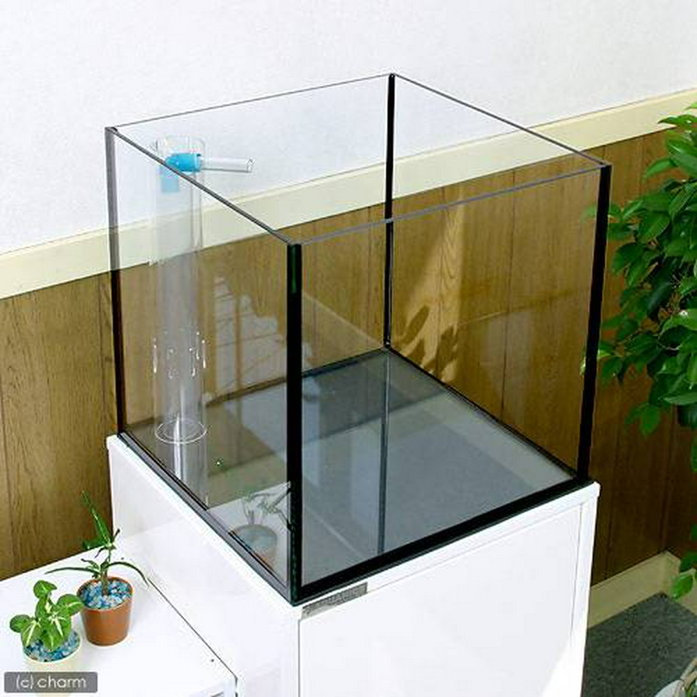 オーバーフロー水槽 プレミアムフレームレスタンク 450×450×450 穴有