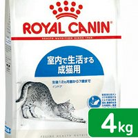 ロイヤルカナン 猫 ブリティッシュ ショートヘア 2kg ジップ付 | チャーム