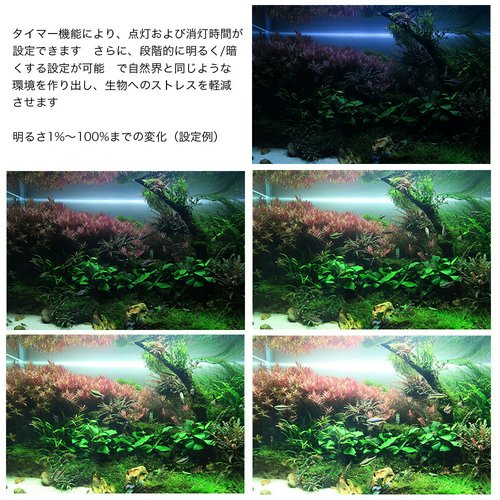 Chihiros LED WRGB2 30 10周年モデル ブラック RGBライト 調光機能付き