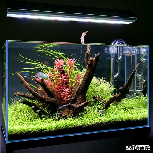 アクロ TRIANGLE LED GROW Pro 600 8900lm 水草育成 水槽ライト