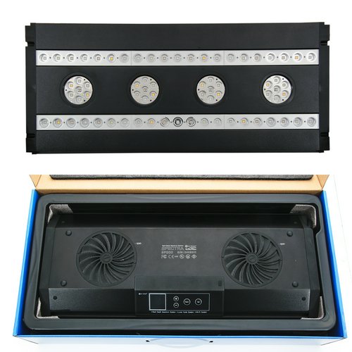 SPECTRA SP200(スペクトラ) ブラック | チャーム