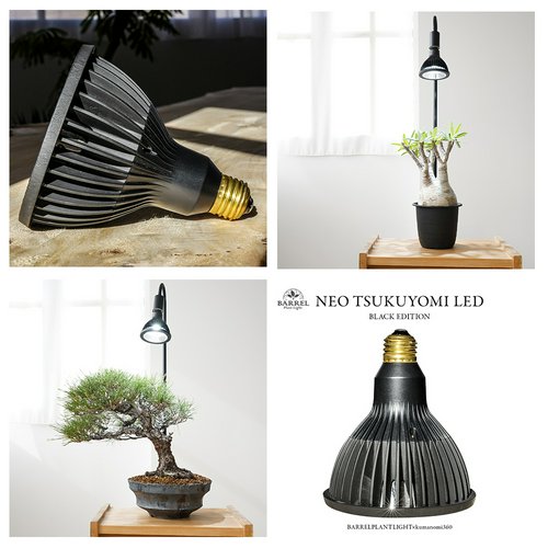NEO TSUKUYOMI ツクヨミ LED BLACKEDITION 20W E26口金 ツクヨミ 植物