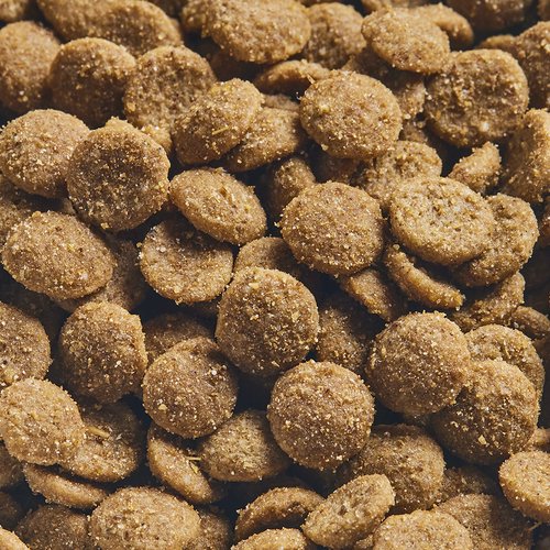 ニュートロ 猫 シュプレモ 成猫用 チキン&サーモン 400g