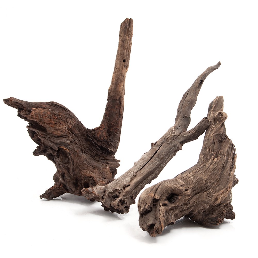 形状お任せ 煮込み済み 塊状流木 Lサイズ(約25~30cm) 3本 アクアリウム