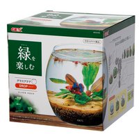 アクアテラリウム | チャーム