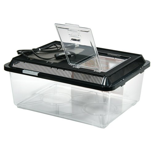 レップジャパン セット温 特大フラット プラケース 保温 爬虫類