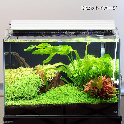 アクロ TRIANGLE LED GROW 600 3000lm 60cm水槽 照明 水草育成 熱帯魚