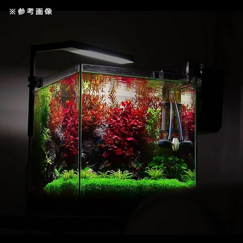 ONF FlatNano+ フラットナノプラス ブラック 植物用LED ライト | チャーム