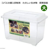 コバエの侵入抑制用 たのしい生き物 飼育容器 大 仕切りつき ×3個 プラ