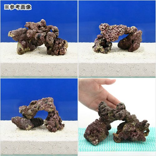 Sグレードライブロック SSサイズ(300g)(形状お任せ) | チャーム