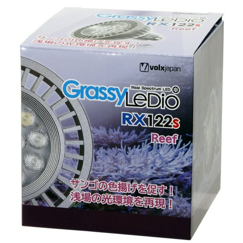 ボルクスジャパン Grassy LeDio RX122s Reef S/リーフ 銀 | チャーム