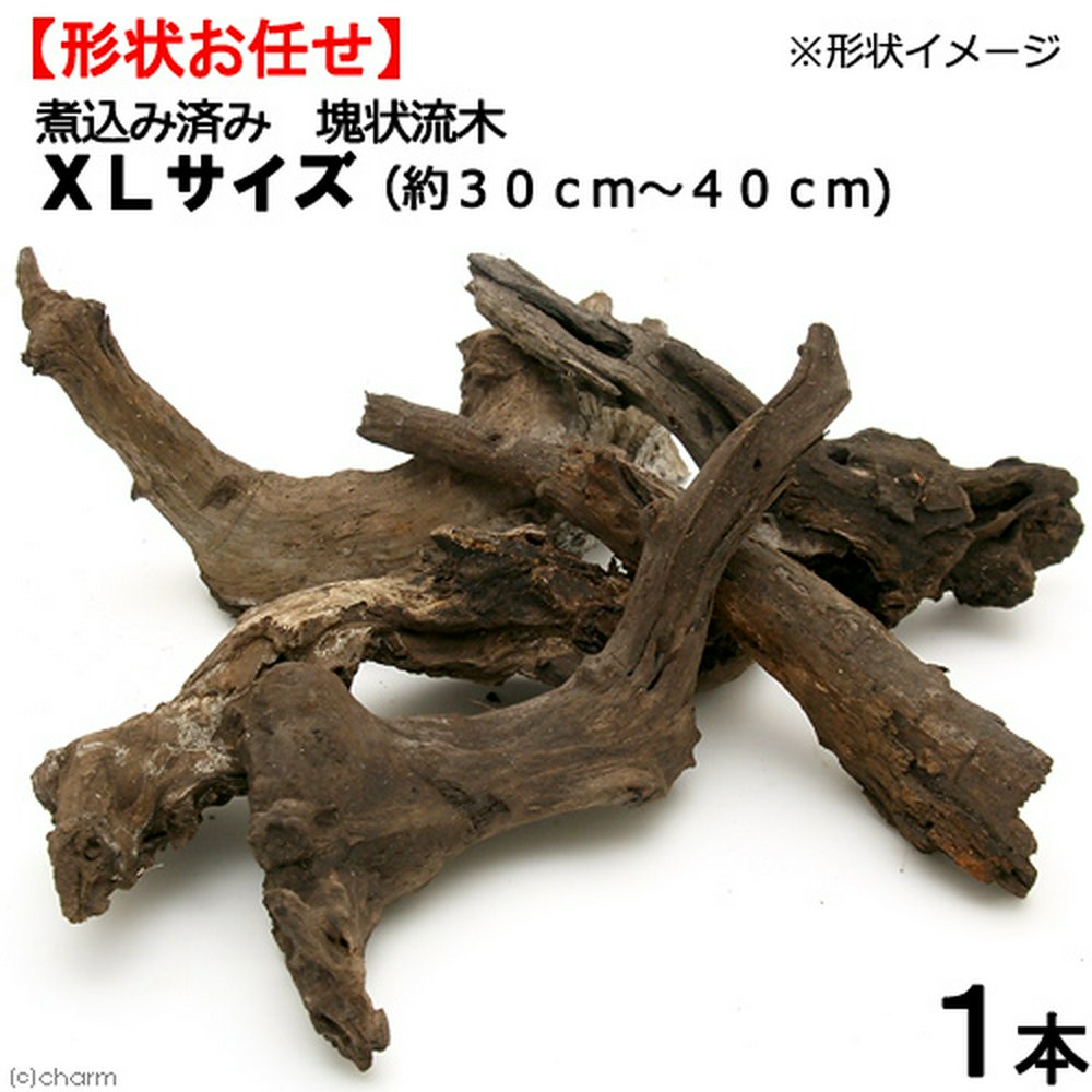 形状お任せ 煮込み済み 塊状流木 XLサイズ(約30~40cm) 1本