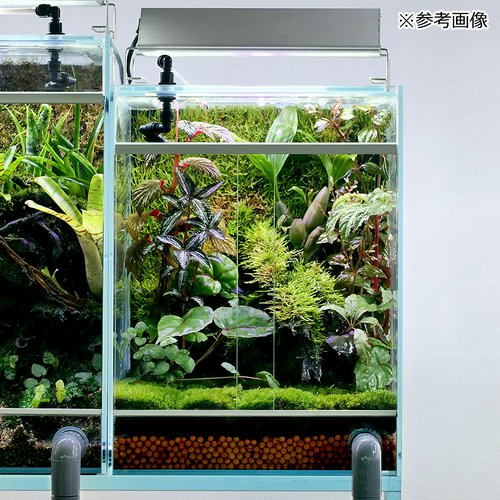 アクロ TRIANGLE テラリウムアクアポニックス陸上植物用 300 1325lm