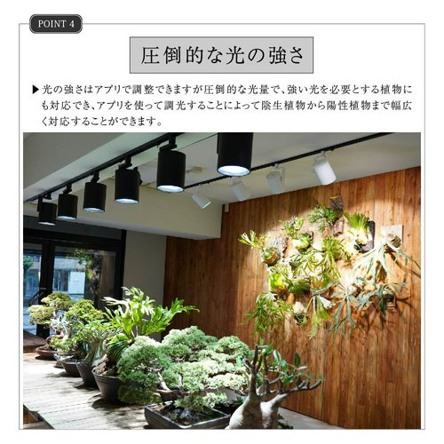 HADES LED 45W 3500K ホワイト 植物育成用LED 植物用ライト 観葉植物