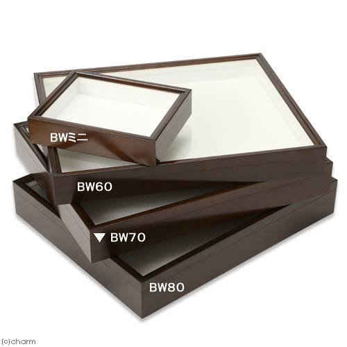 バードウィング製 ドイツ型標本箱 BW70 (幅50.7×奥行き41.8×高さ7cm