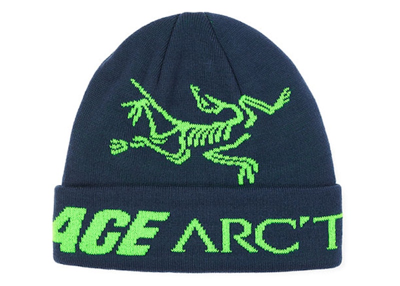 Palace Arc'teryx Beanie Teal Men's - FW20 - US