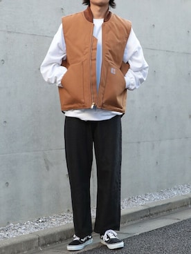 Carhartt ブラウン ベスト-富士薬品NMN