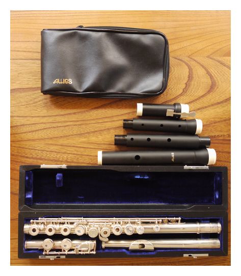 トラヴェルソに挑戦 その1 | ほーほの落穂拾い