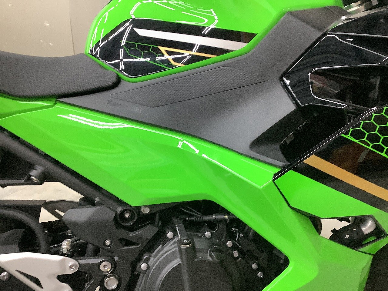 24617388.jpg?resize=600,450,ffffff