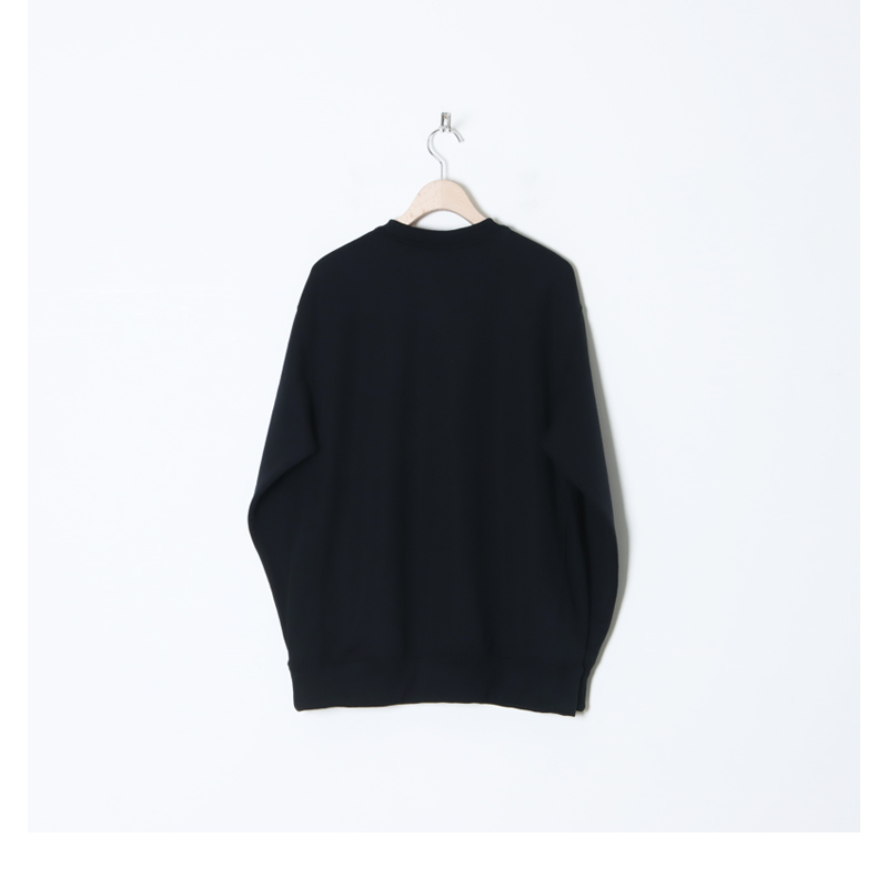 THE NORTH FACE (ザノースフェイス) Heather Logo Crew / ヘザーロゴ