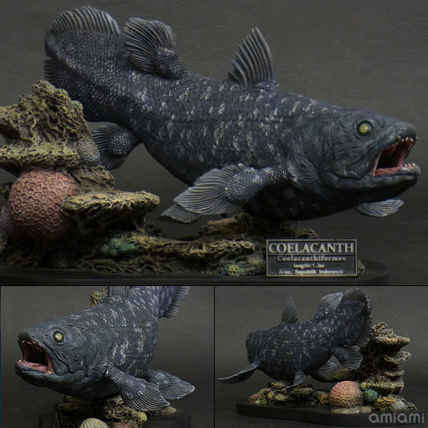 Wonder of wild series シーラカンス 完成品フィギュア[エクスプラス