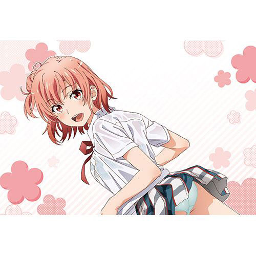 やはり俺の青春ラブコメはまちがっている。完 描き下ろしまくらカバー