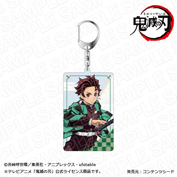 アニメ「鬼滅の刃」 オーロラアクリルキーホルダー 竈門炭治郎 立ち絵